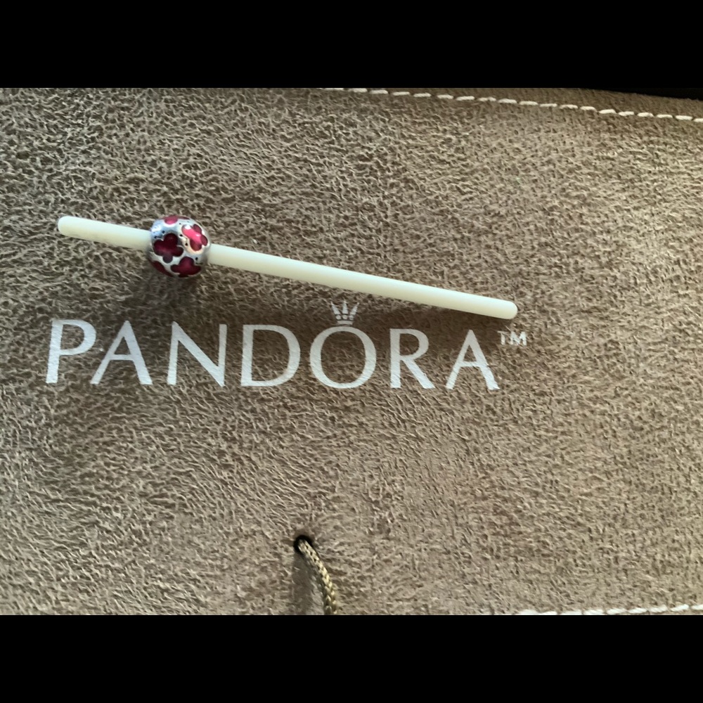 Silver with red Pandora bead